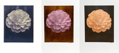 Set von 3 Blumenfotografien aus Pfingstrosenholz von Jonathan Singer