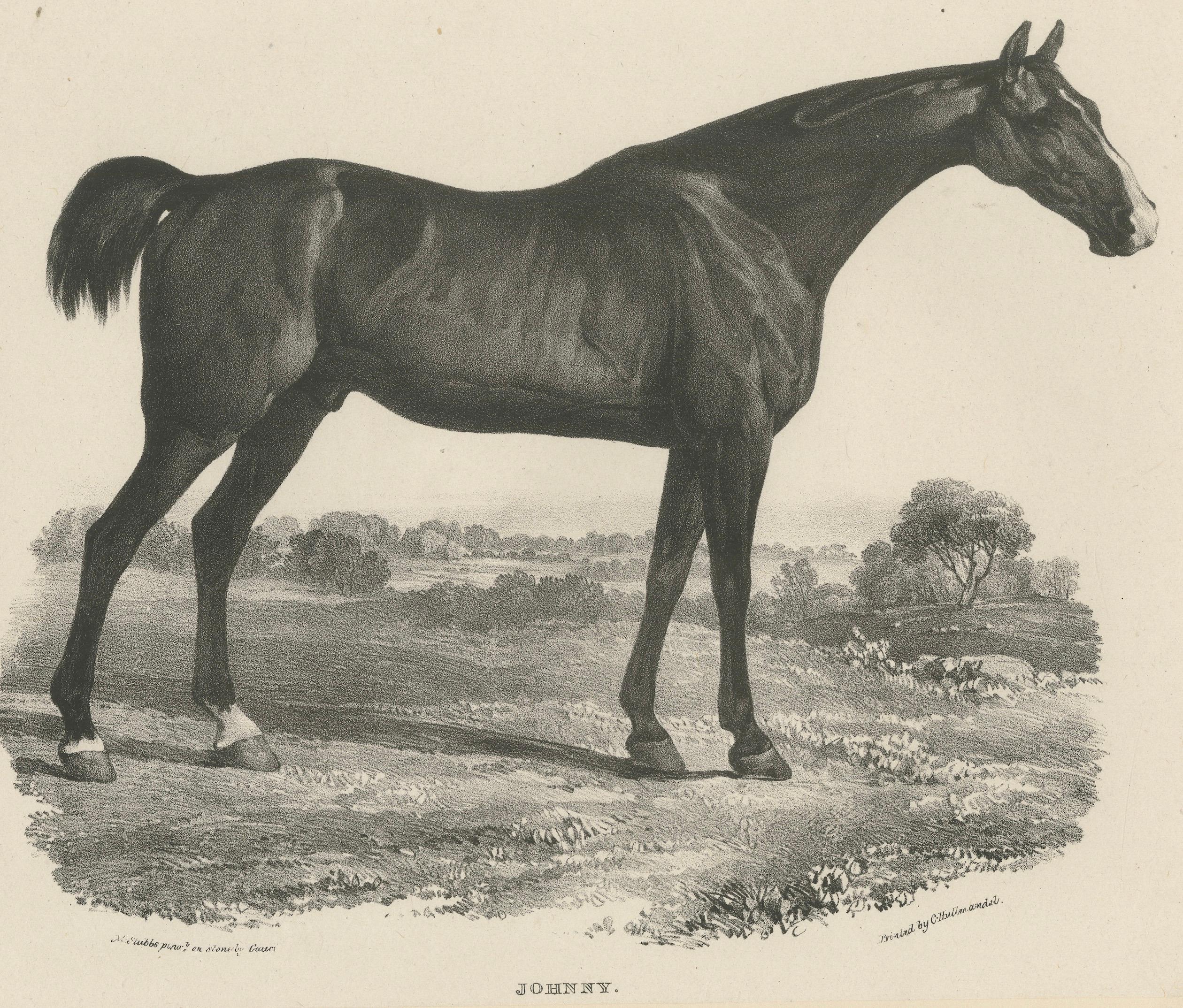 Johnny & An Old Hunter – Pair of Antique Sporting Horse Lithographs c.1840