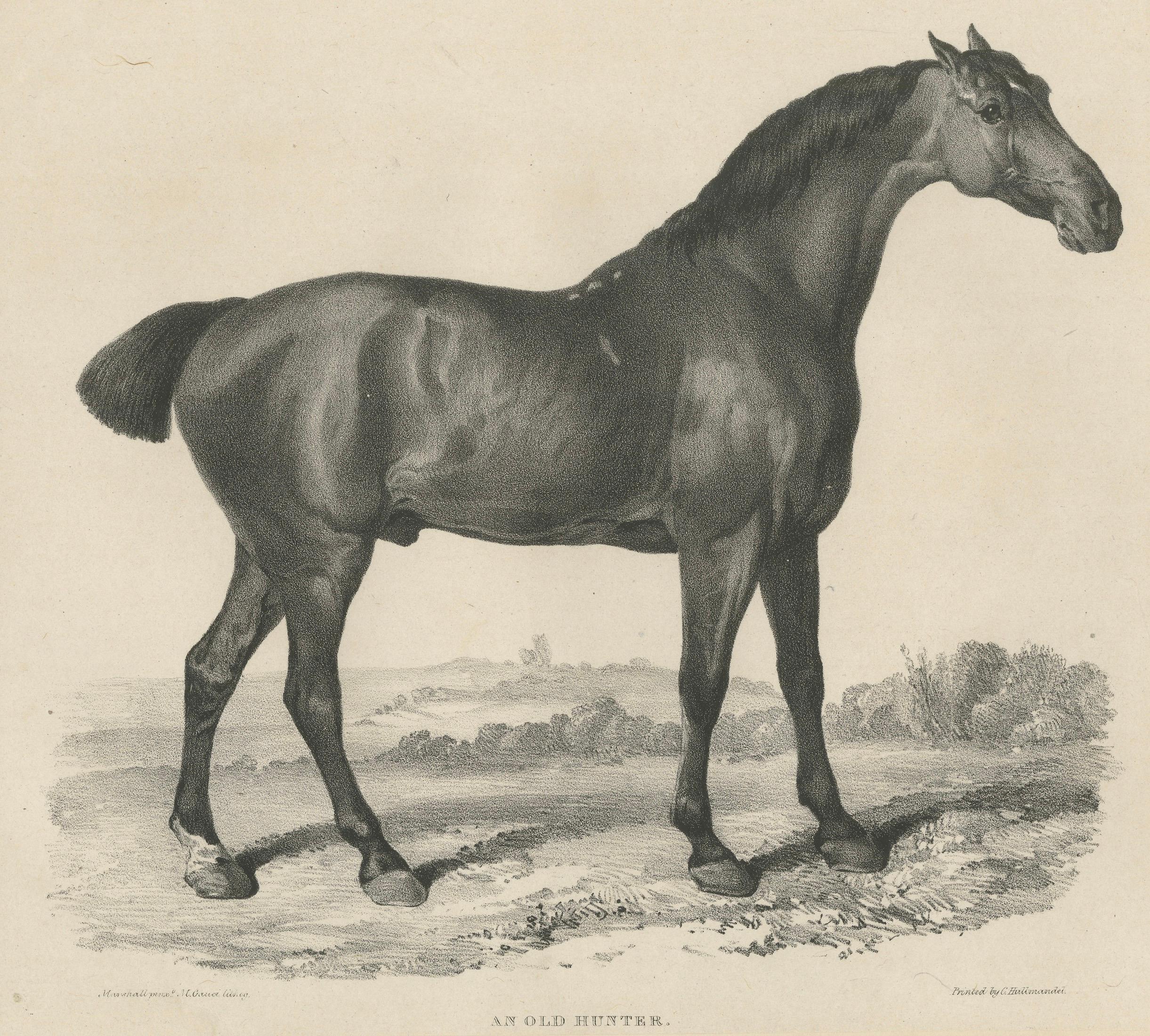Johnny & An Old Hunter – Pair of Antique Sporting Horse Lithographs c.1840