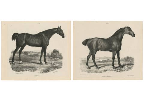 Johnny & An Old Hunter – Pair of Antique Sporting Horse Lithographs c.1840