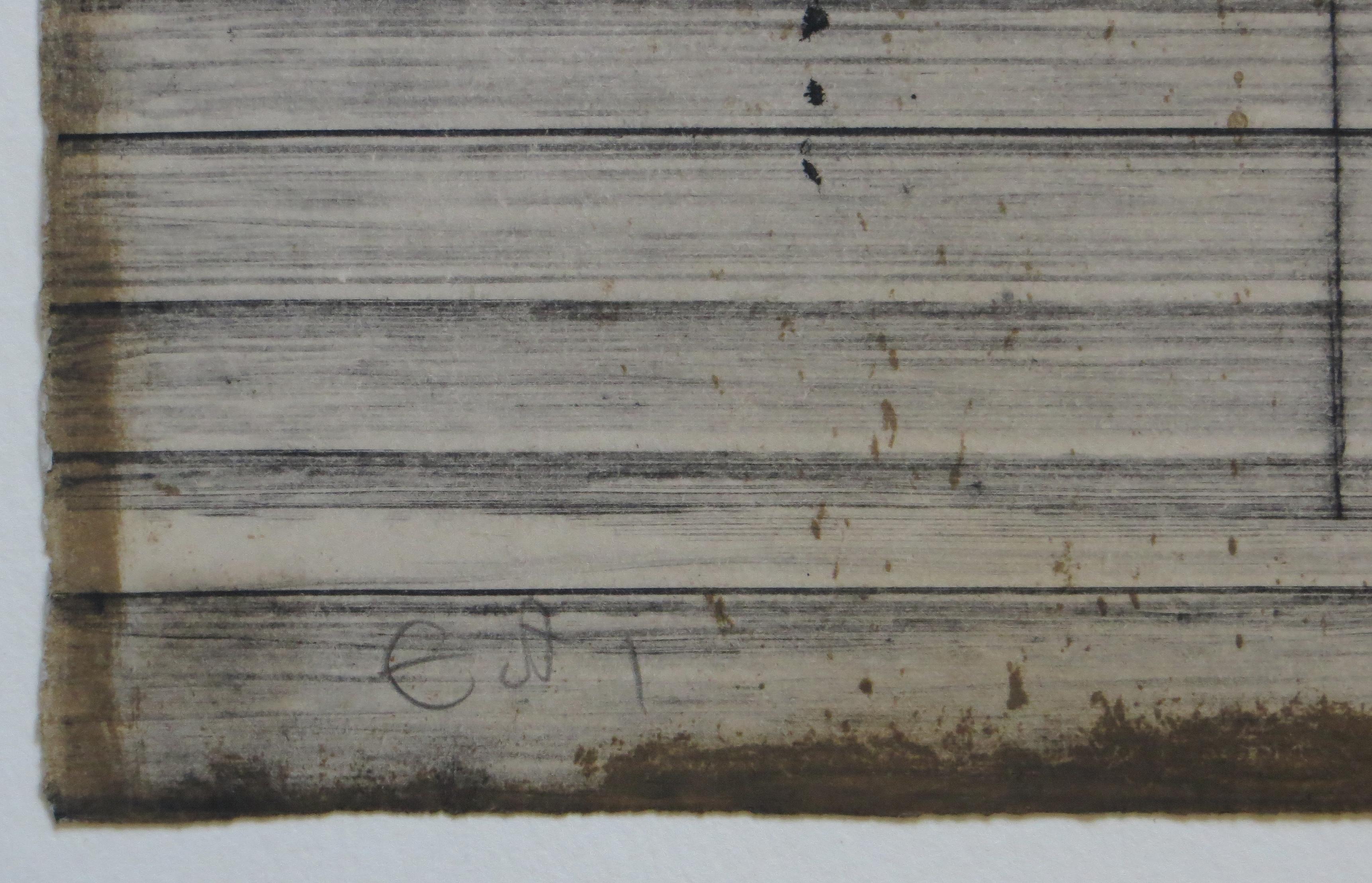 Erbe Solari (Herbes Solaires) - Abstract Print Grigio di Johnny Friedlaender