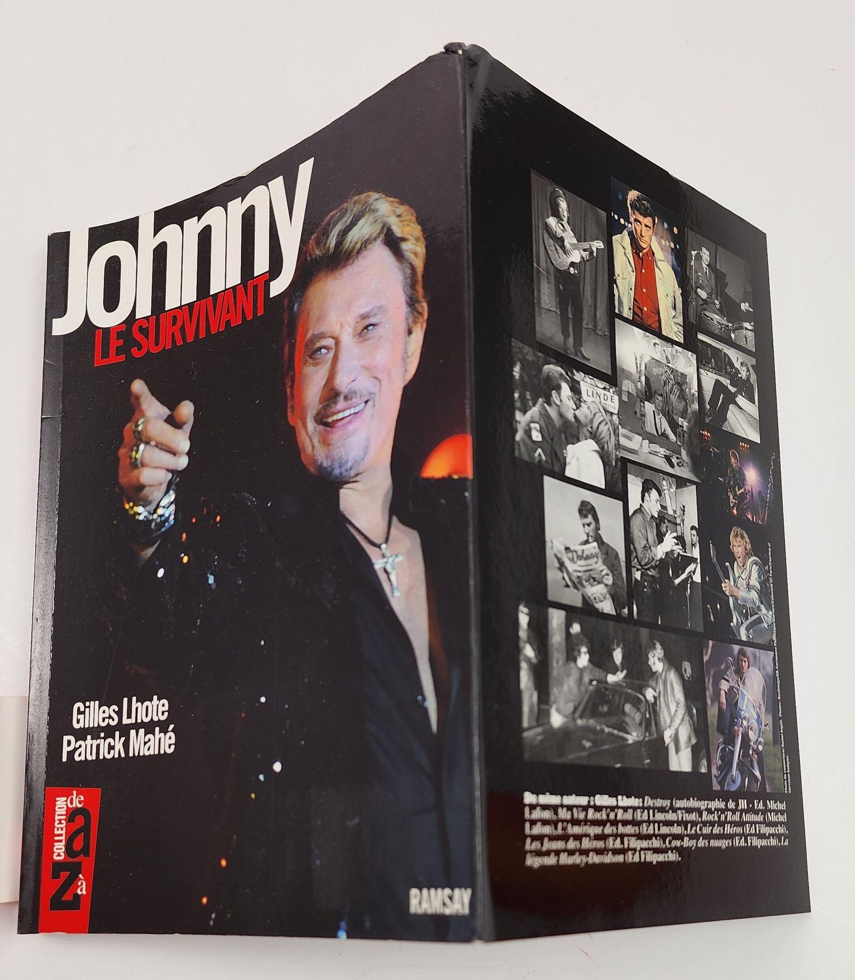 Folk Art Johnny Halliday Johnny Le Survivant French Edition Paperback 1st Edition For Sale