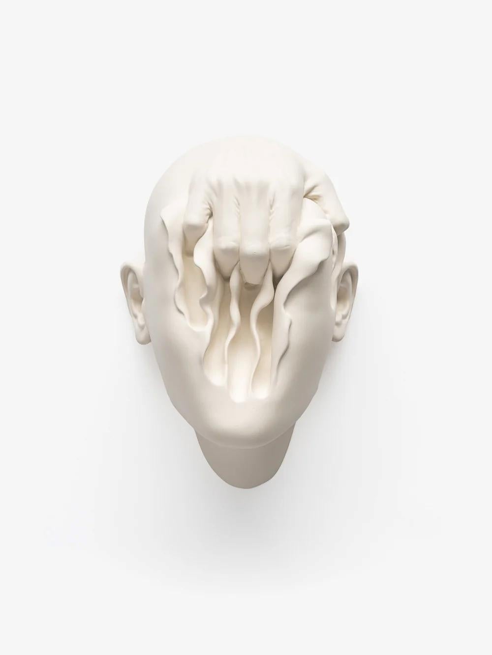 Searching for spring by Johnson Tsang