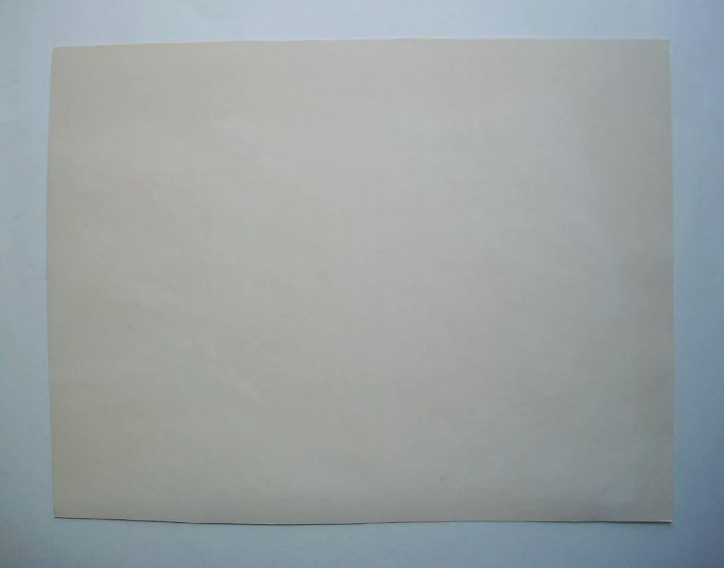 JOHNSTON – Druck aus der Mitte des Jahrhunderts – signiert und datiert – ungerahmt – Kanada – um 1974 (Handgefertigt) im Angebot