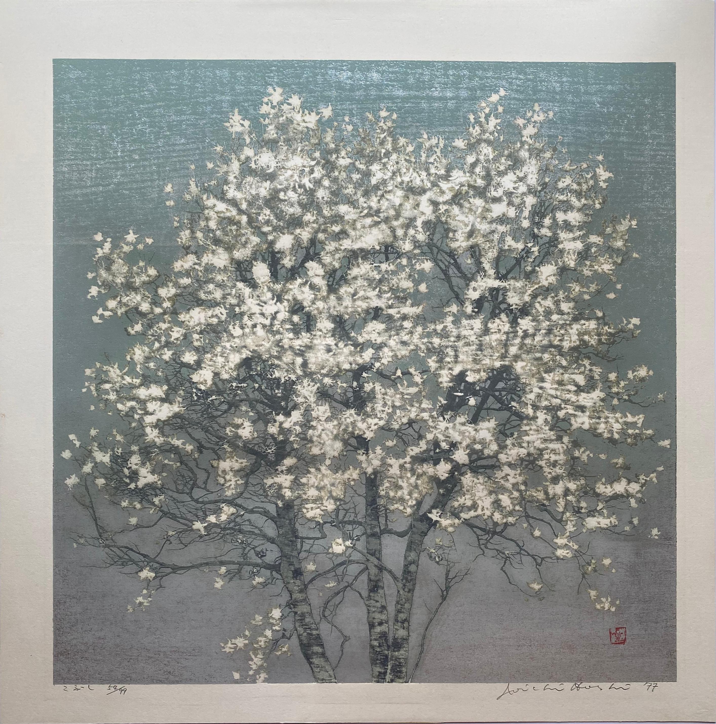 Magnolia (Kobushi) - Print by Joichi Hoshi