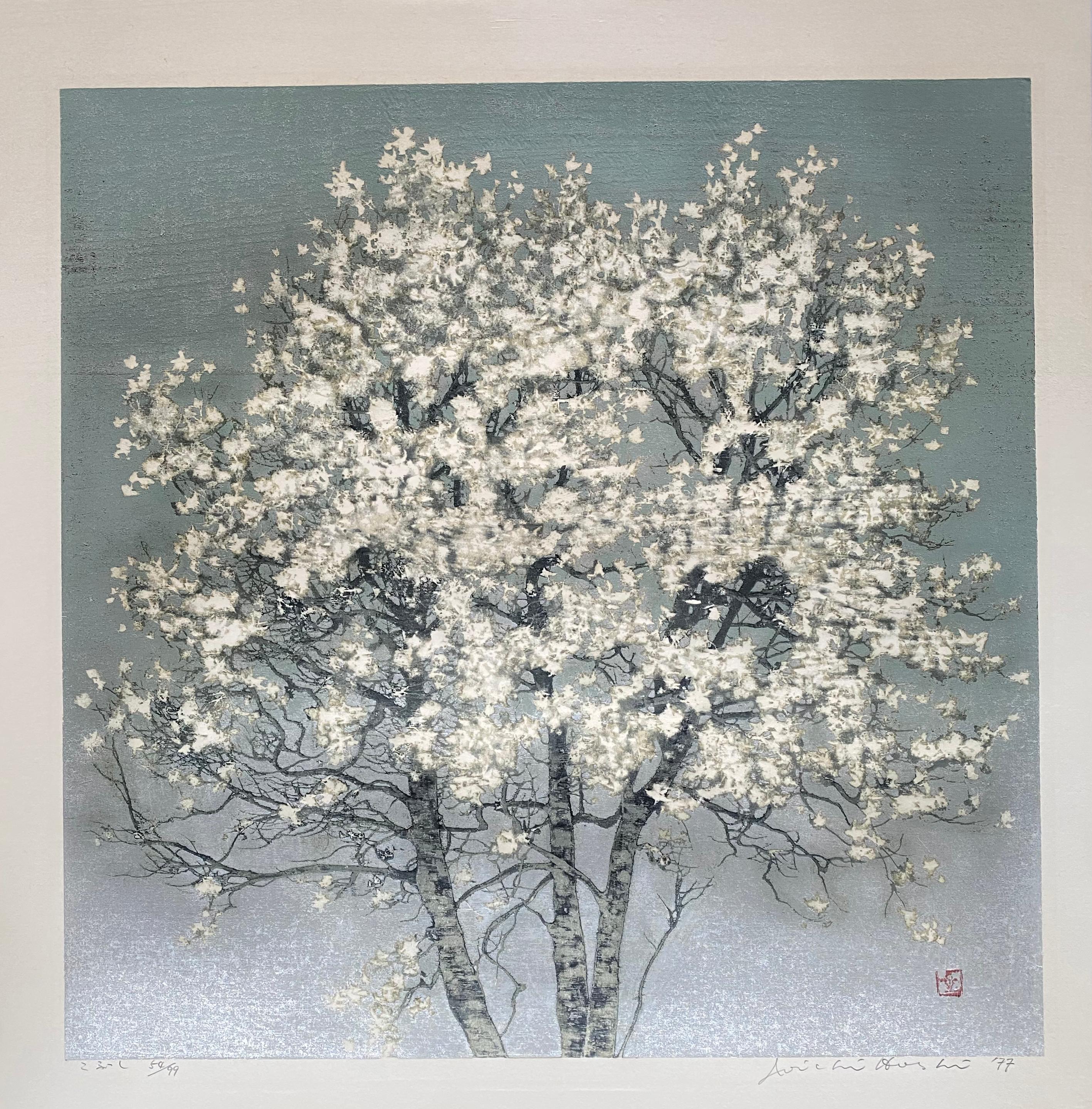 Joichi Hoshi Landscape Print - Magnolia (Kobushi)