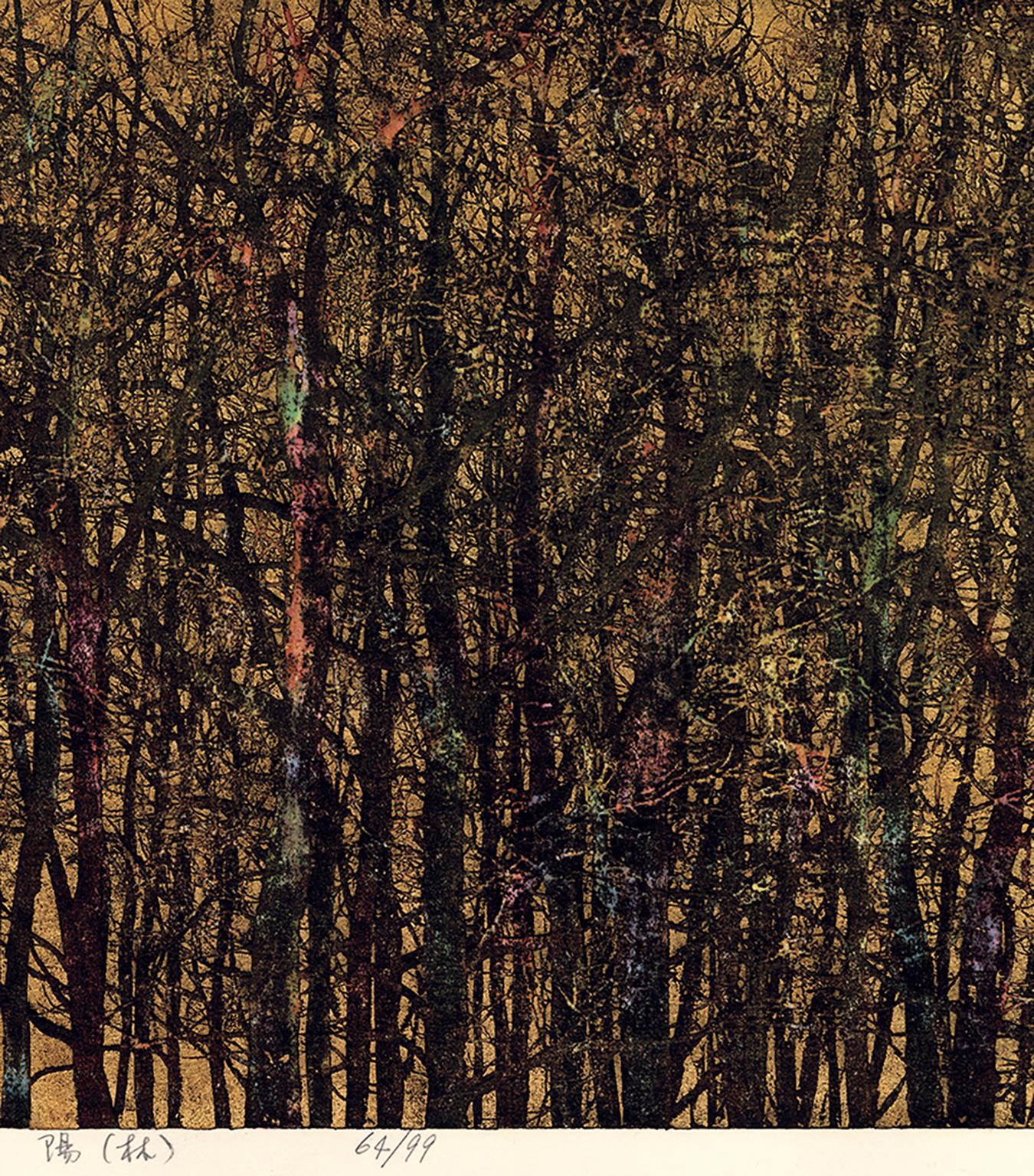 Sun Light (Forest) - Black Landscape Print by Joichi Hoshi