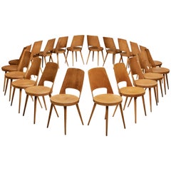 Jomaine Baumann Large Set of 'Mondor' Dining Chairs
