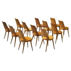 Jomaine Baumann Set of Twelve 'Mondor' Dining Chairs in Plywood