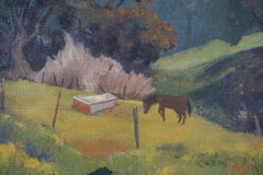 Paesaggio di pascolo per cavalli della montagna di Mendocino del metà del secolo scorso