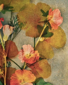 Bouquet #1 Digital Pigment Print, Contemporary Still Life, 2010-