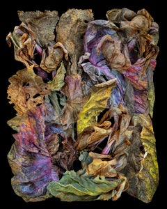 "Komposition mit Herbstblättern #2"; Gerahmter digitaler Pigmentdruck