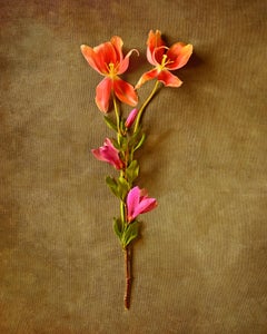"Floral Still Life #4"; 20" x 16" Vivid Digital Pigment Print, Flora Still Life