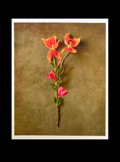 "Floral Still Life #4"; 20" x 16" Vivid Digital Pigment Print, Flora Still Life