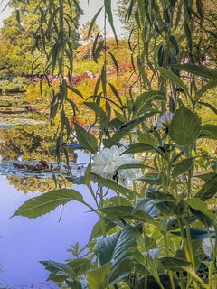 Monets Garten, Giverny, Frankreich, Studie Nr. 4, 2023"; Digitaler Pigmentdruck