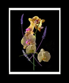 Organic Abstraction #12: Floral Still Life Digital Print, 20" x 16"