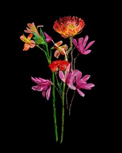 "Organic Abstraction #13"; 20" x 16" Digital Pigment Print, Floral Still Life