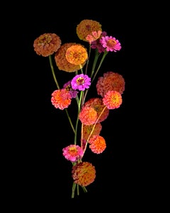 "Organic Abstraction #15"; 20" x 16" Floral Still Life, Digital Pigment Print