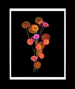 "Organic Abstraction #15"; 20" x 16" Floral Still Life, Digital Pigment Print