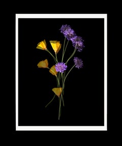 "Organic Abstraction #16"; 20" x 16" Digital Pigment Print, Floral Still Life