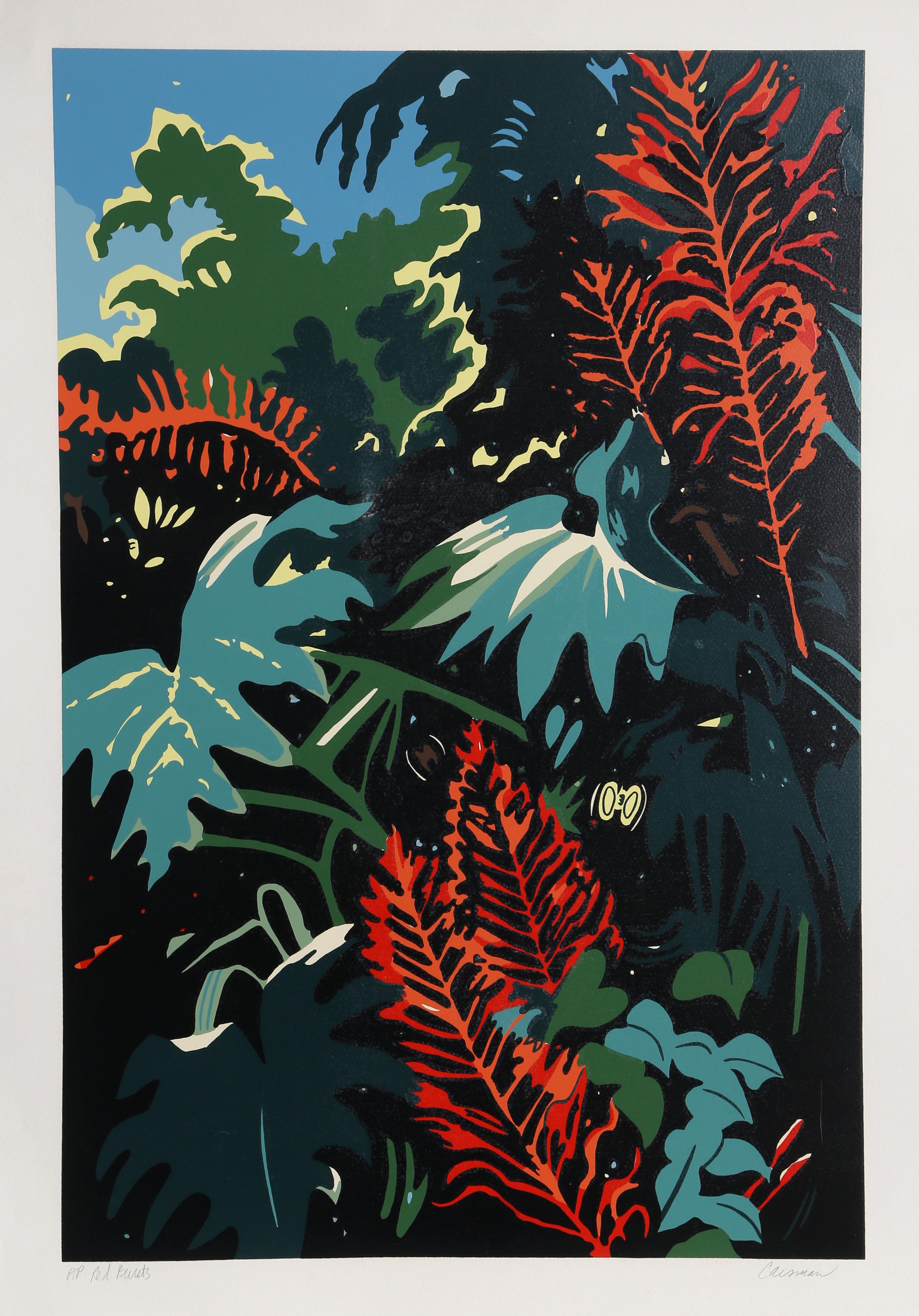 Jon Carsman Print - Red Bursts