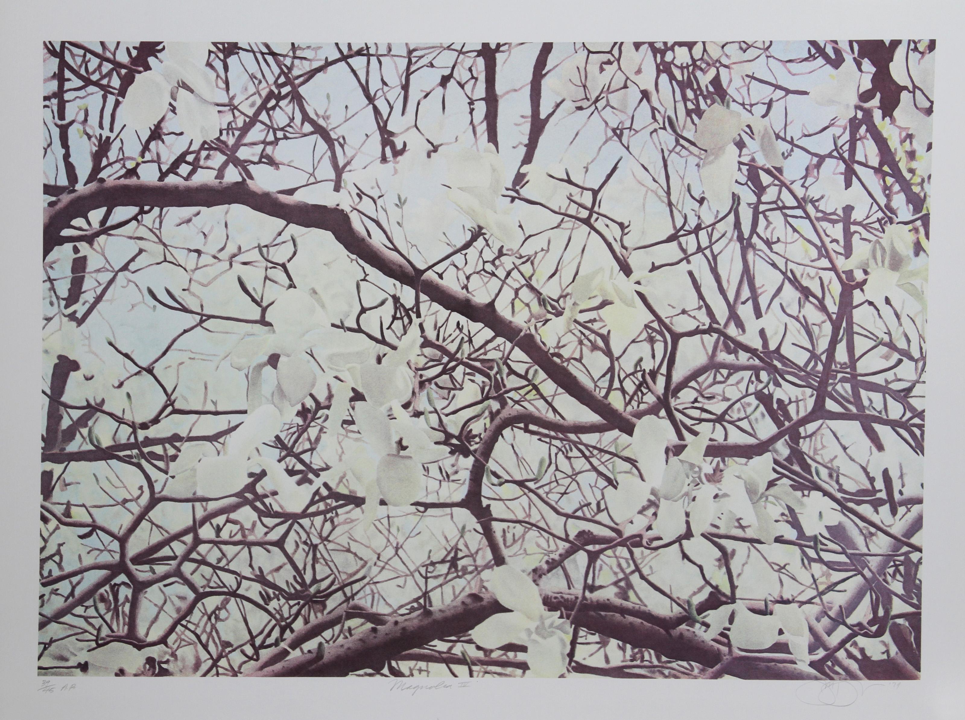Jon D'Orazio, American (1942 - ) - Magnolia IV. Year: 1979, Medium: Lithograph, signed and numbered in pencil, Edition: 300, AP 45, Image Size: 21 x 30 inches, Size: 25 in. x 33 in. (63.5 cm x 83.82 cm)