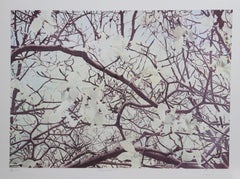 Vintage Magnolia IV, Impressionist Lithograph by Jon D'Orazio