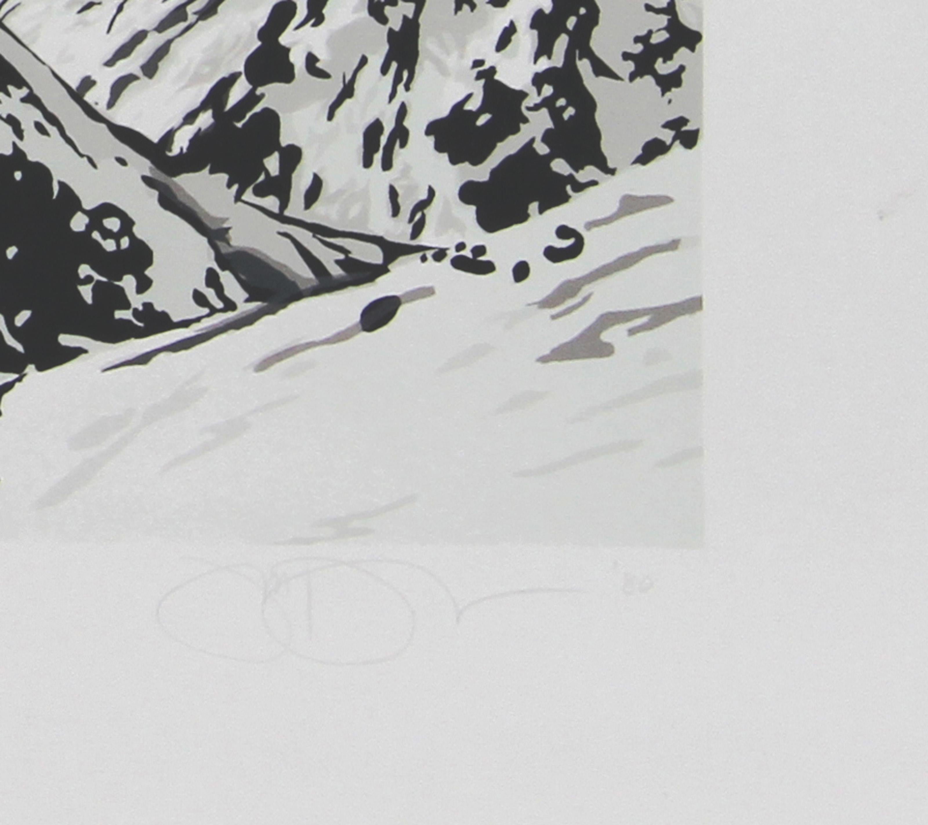Sky Over Mountain, Pop Art Lithograph by Jon D'Orazio For Sale 1