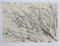 Windswept, litografia moderna americana di Jon D'Orazio