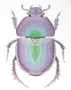 Love Bug