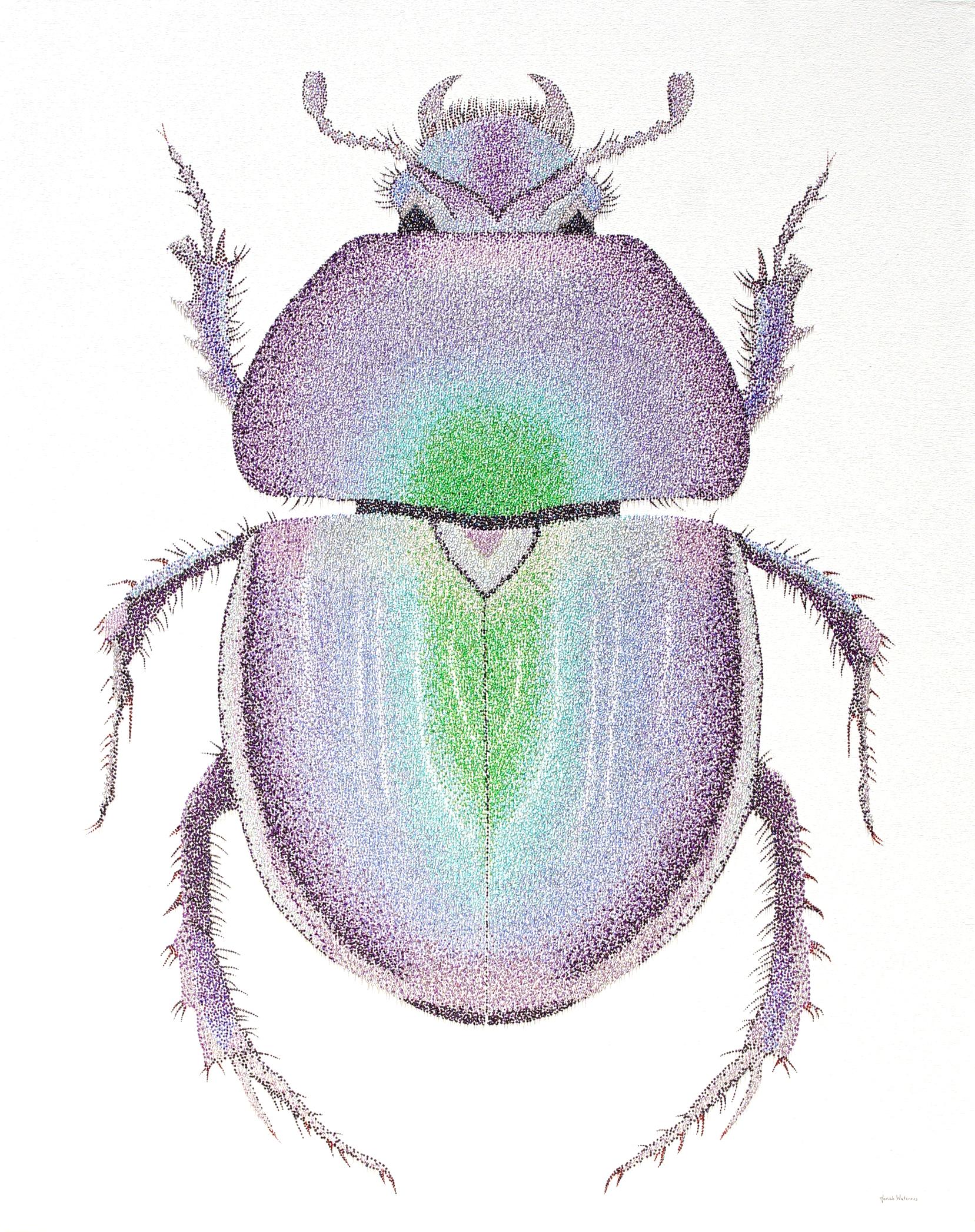 Jonah Waterous Animal Painting - Love Bug