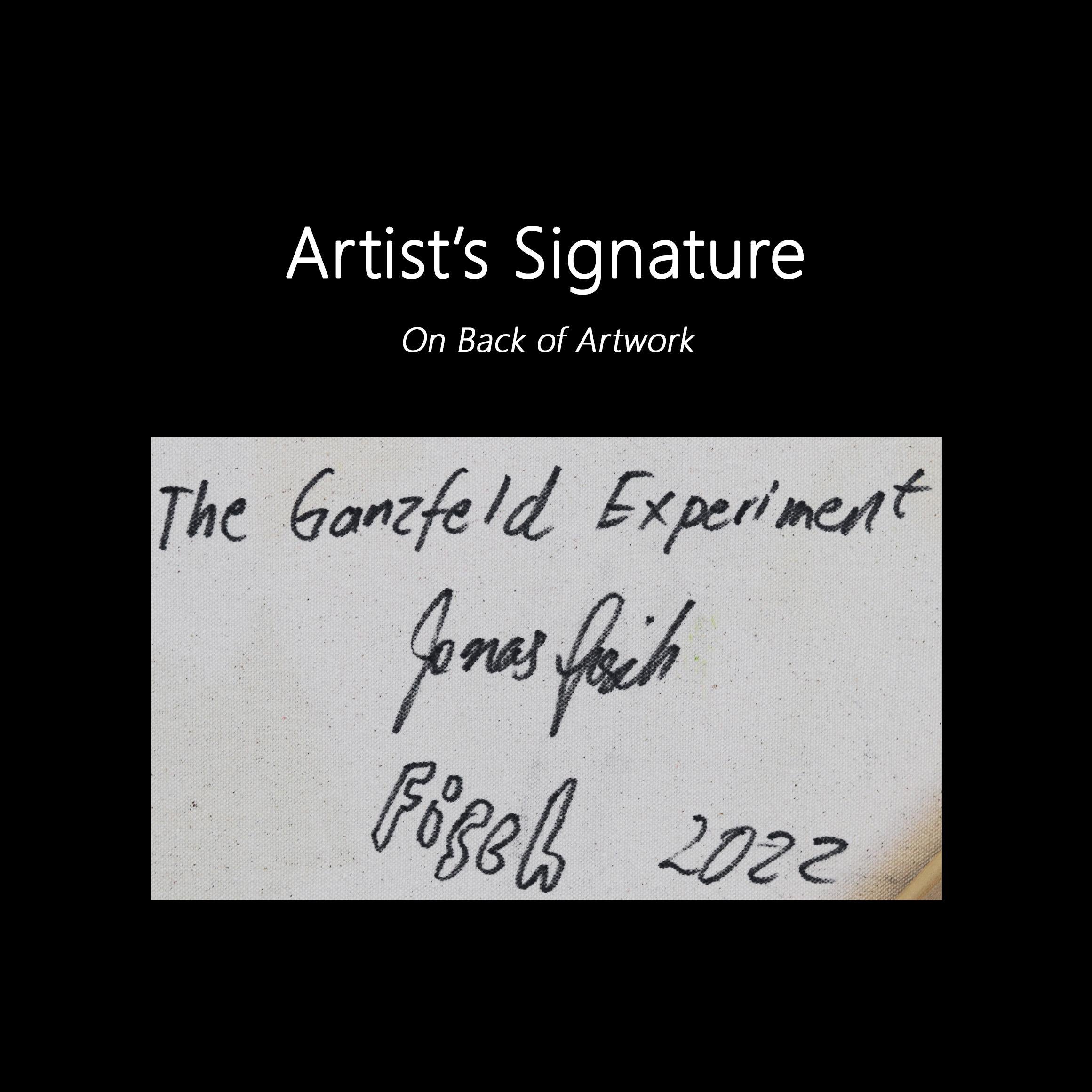 The Ganzfeld Experiment For Sale 6