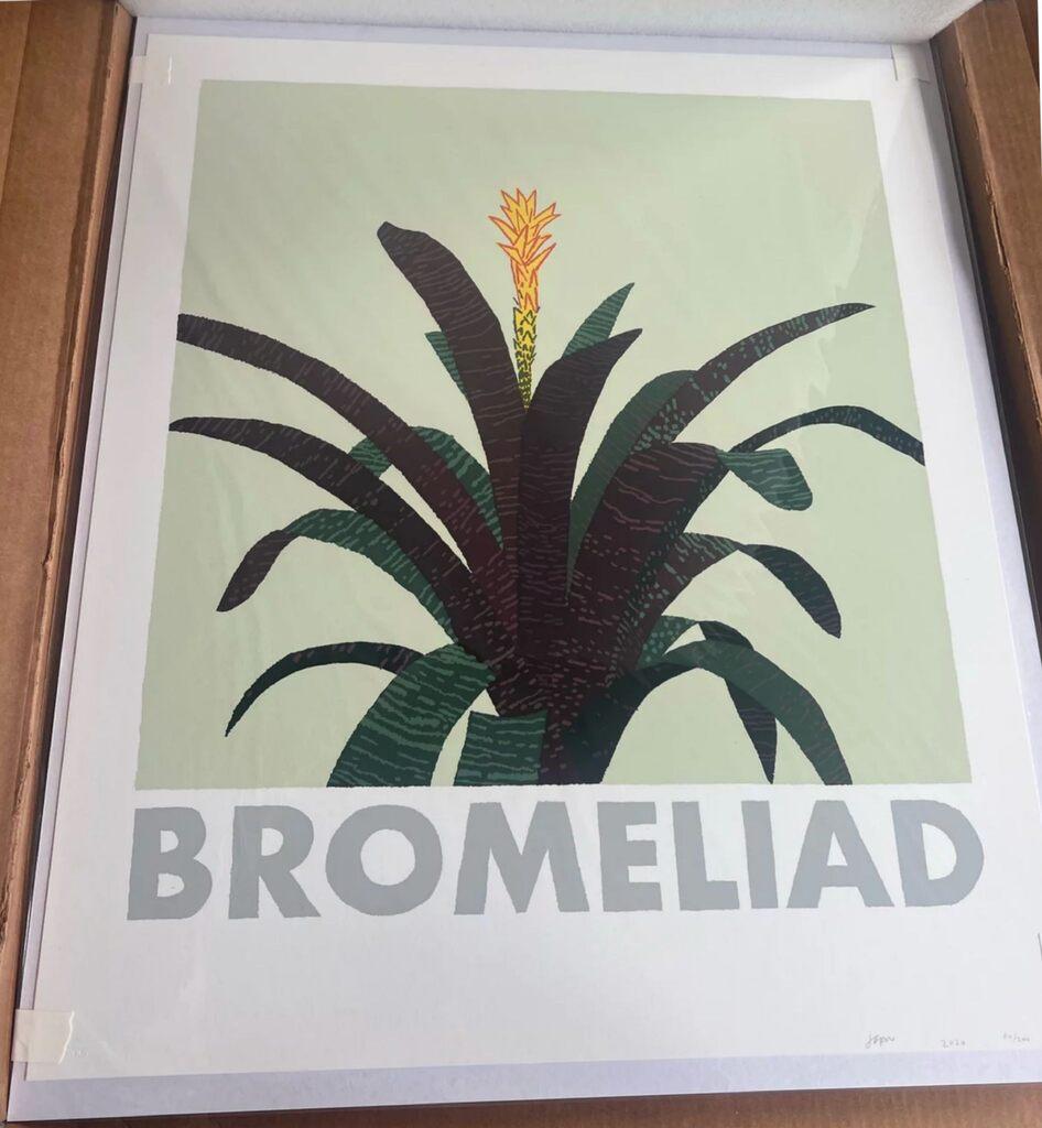 Bromelia 13 Serigrafía en color sobre cartulina de museo de Jonas Wood firmada/ naturaleza muerta 1