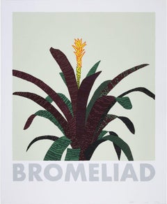 Bromelia 13 Serigrafía en color sobre cartulina de museo de Jonas Wood firmada/ naturaleza muerta