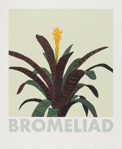 Bromelia