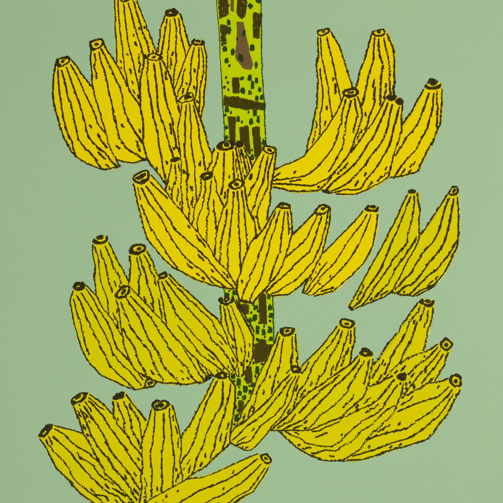Jonas Holz, Bananen – signierter Druck, zeitgenössische Kunst, Stillleben, Siebdruck (Grün), Still-Life Print, von Jonas Wood