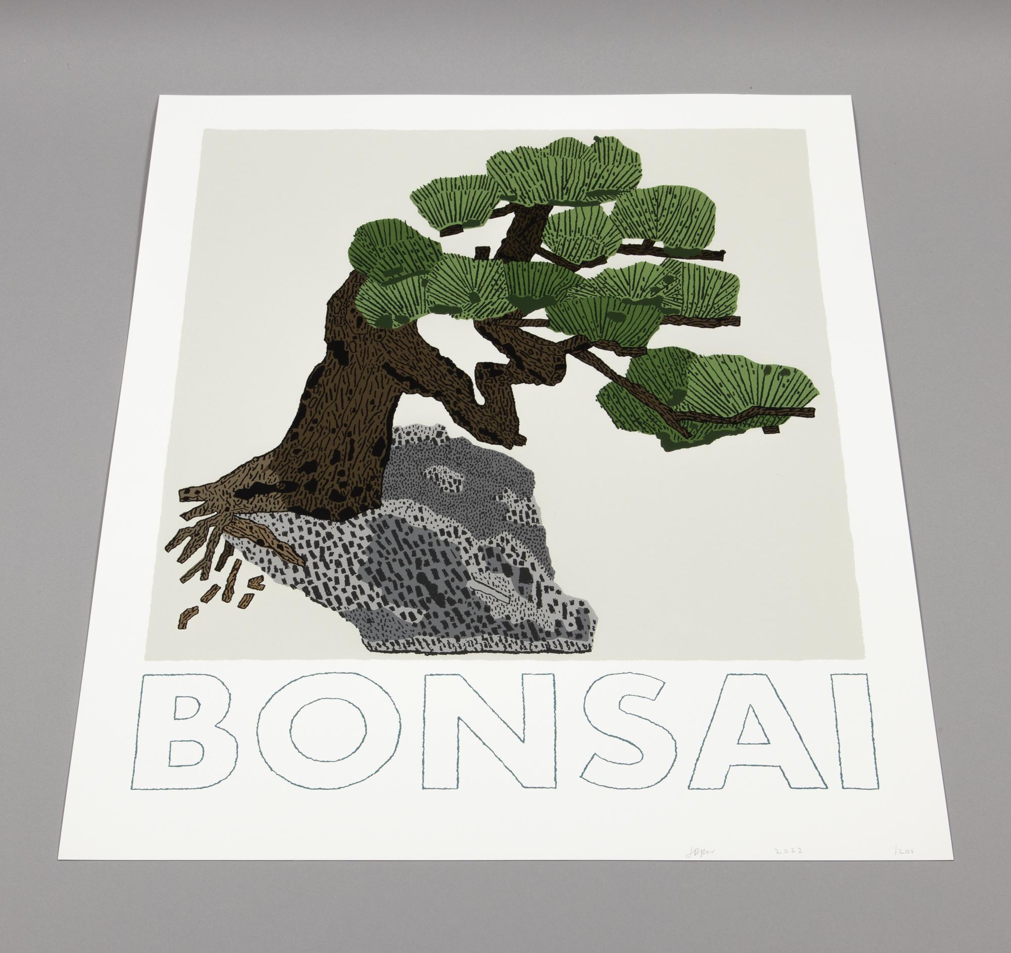 Jonas Wood, Bonsai - Signed Print, Contemporary Art, Still Life For Sale 5