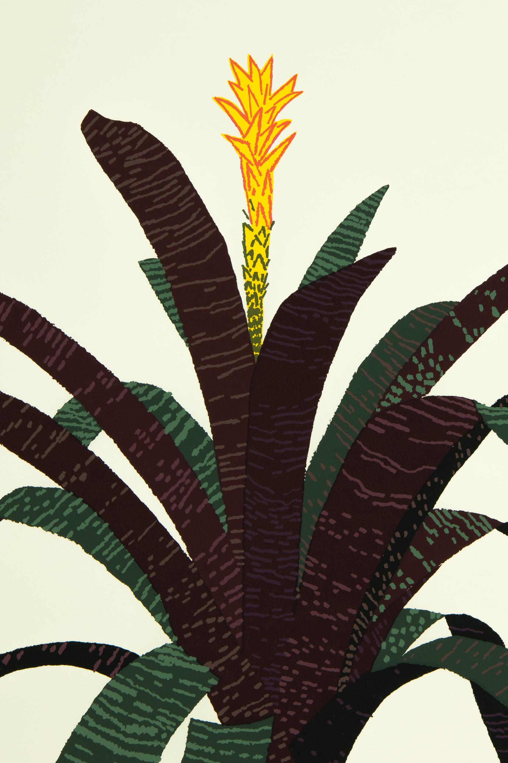 Jonas Wood, Bromelia: Serigrafía, Arte contemporáneo, Naturaleza muerta, Impresión firmada en venta 4