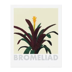 Jonas Wood, Bromelia: Serigrafía, Arte contemporáneo, Naturaleza muerta, Impresión firmada