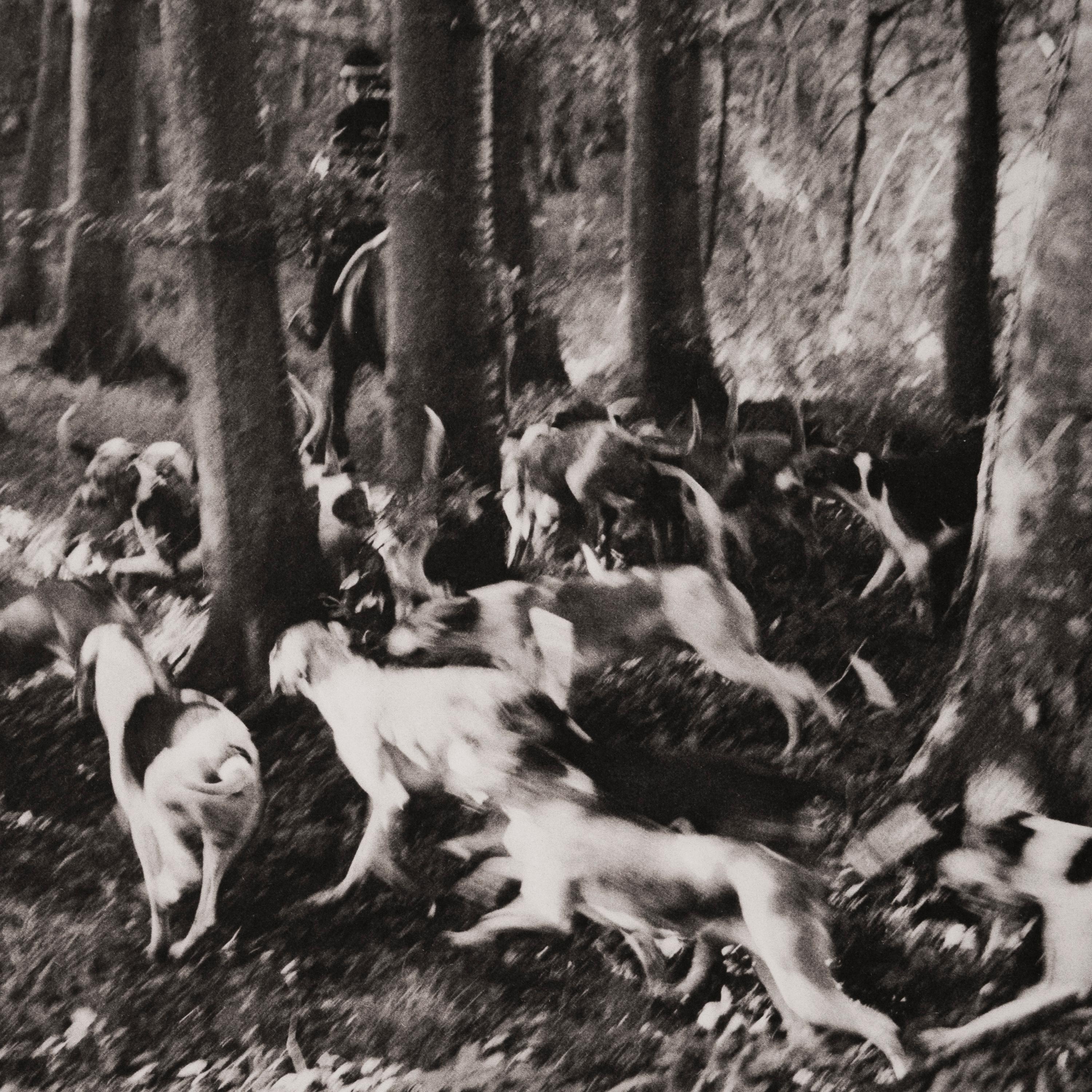 La chasse au cerf, Normandie, France, September 1975 - Photograph by Jonathan Becker
