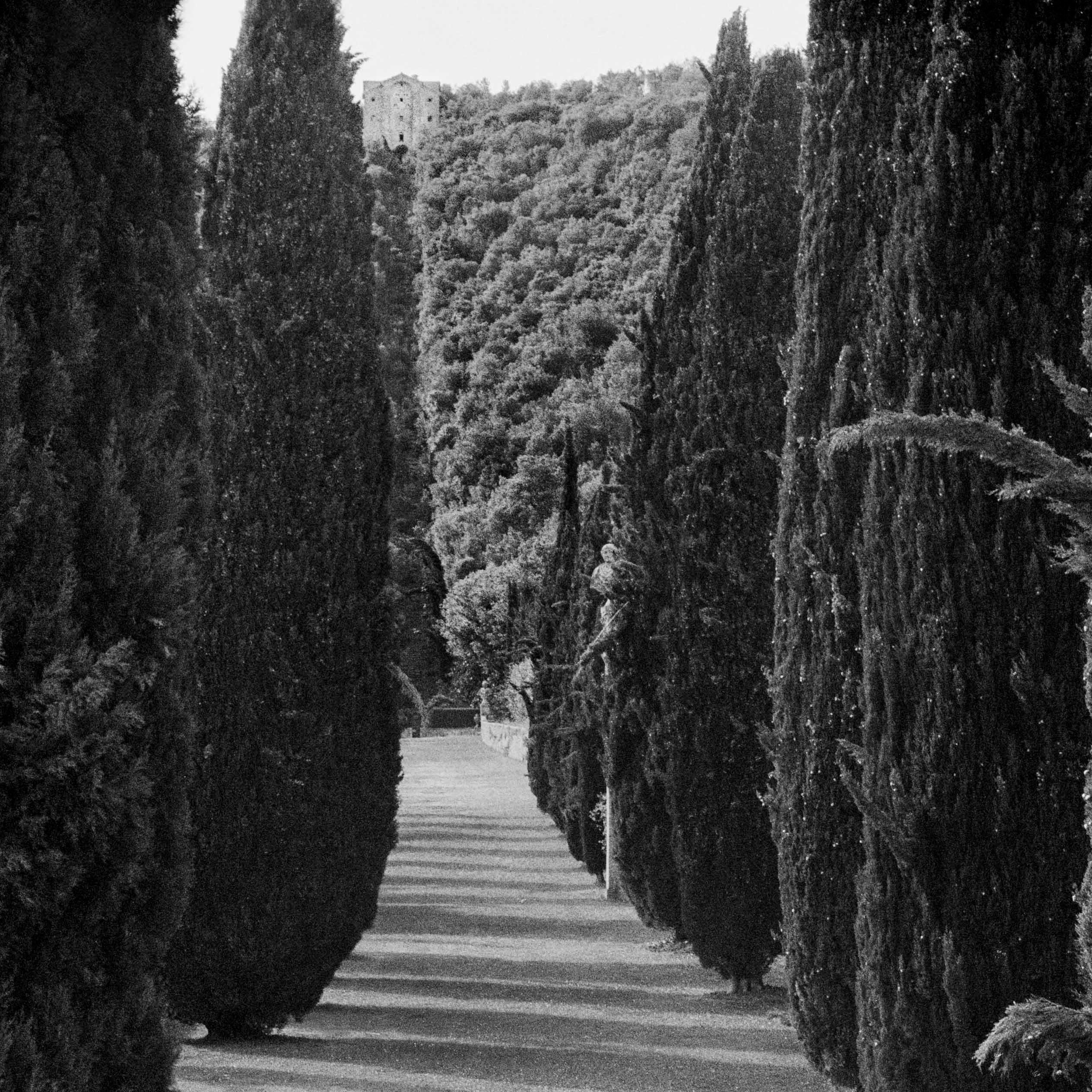Villa Cetinale, Siena, Italien, Mai 2012 (Schwarz), Black and White Photograph, von Jonathan Becker