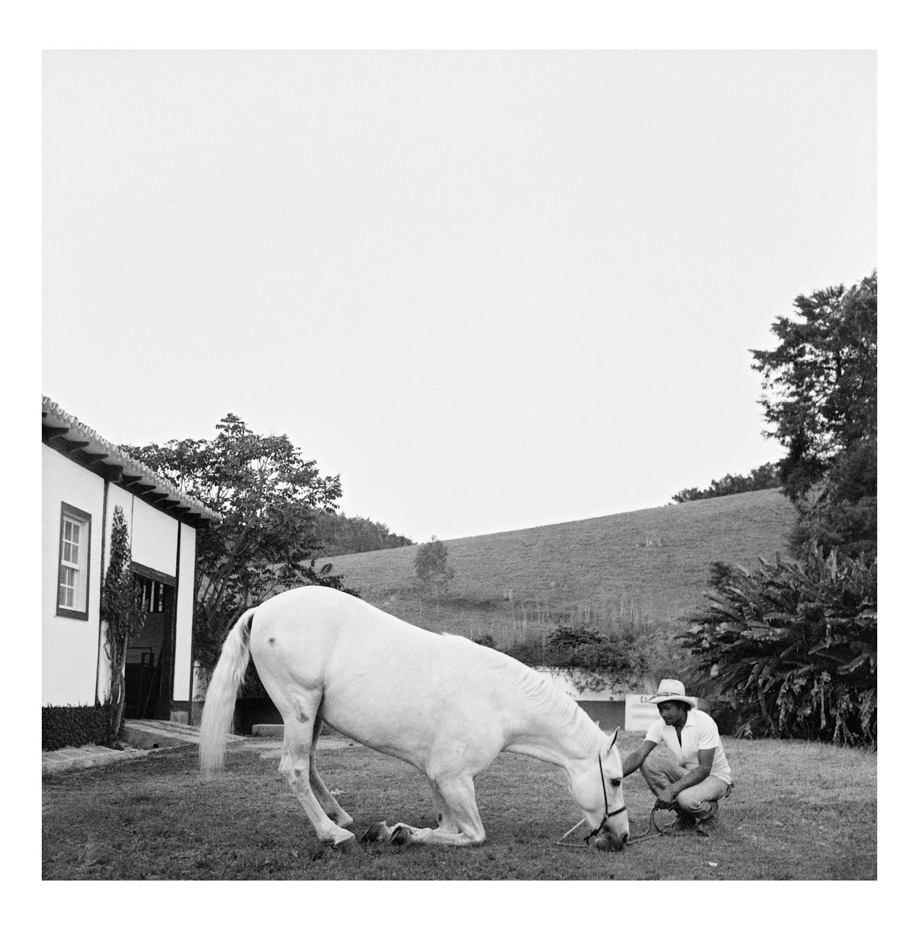 Jonathan Becker Black and White Photograph -  Fazenda Santar�ém, Brazil, October 1988