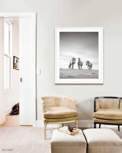 Battling the Mistral