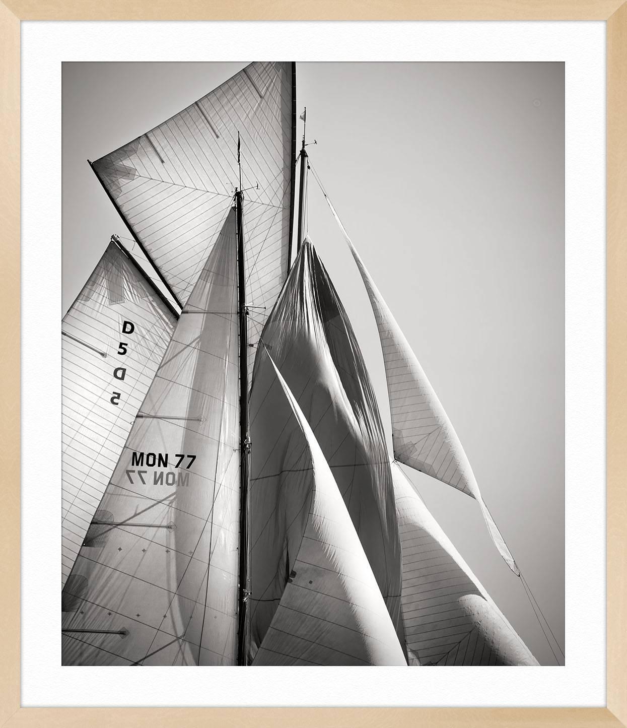 SAILS XII, COTE D'AZUR For Sale 2