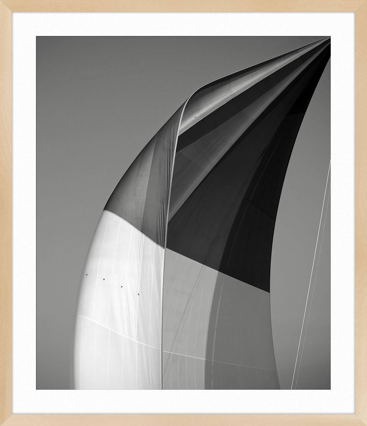 SAILS XX; SPINNAKER OF THE VELSHEDA - Gray Print by Jonathan Chritchley
