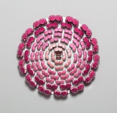 Communauté (magnolia japonais)