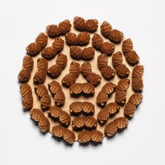 Disseminate II (Gold)