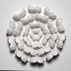 Disseminate (White)