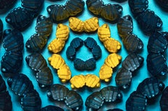 In Bloom (Blue and Yellow)