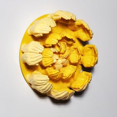 En flor (diente de león)
